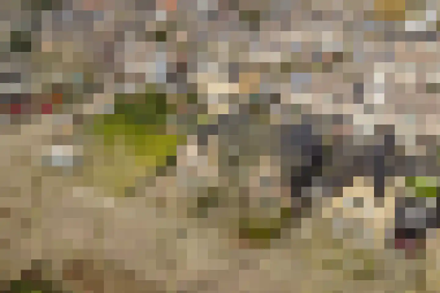 Koog 19 Zuid-Scharwoude thumbnail 35