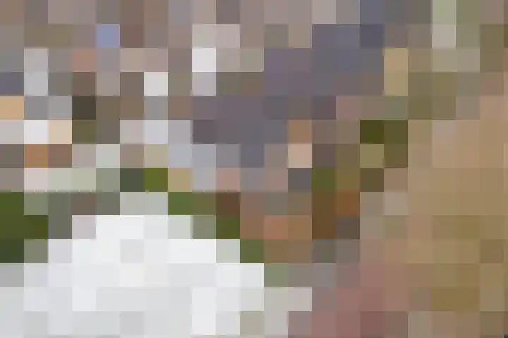 Koog 19 Zuid-Scharwoude thumbnail 39