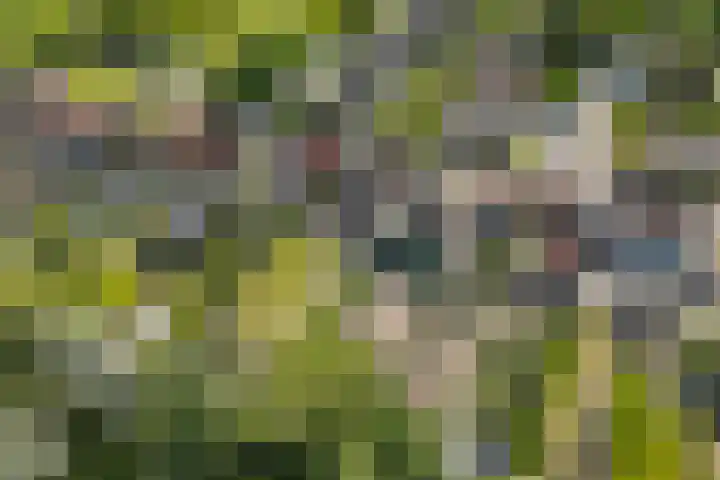 Koogerweg 11 Hippolytushoef thumbnail 17