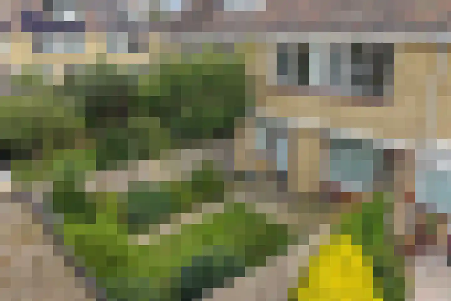 Kooglaan 100 Uitgeest thumbnail 27