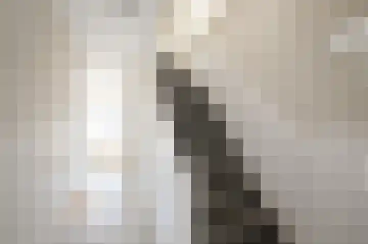 Kooglaan 101 Uitgeest thumbnail 19