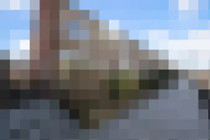 Kooglaan 101 Uitgeest foto 2
