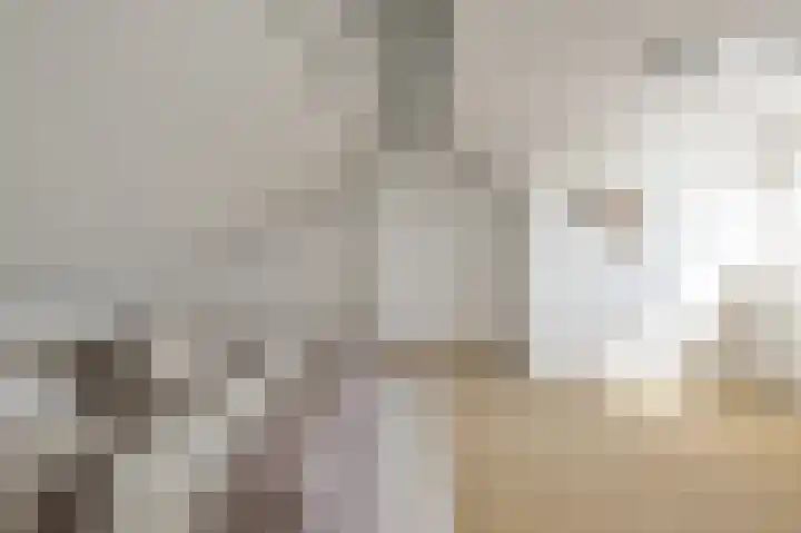 Kooglaan 101 Uitgeest thumbnail 29