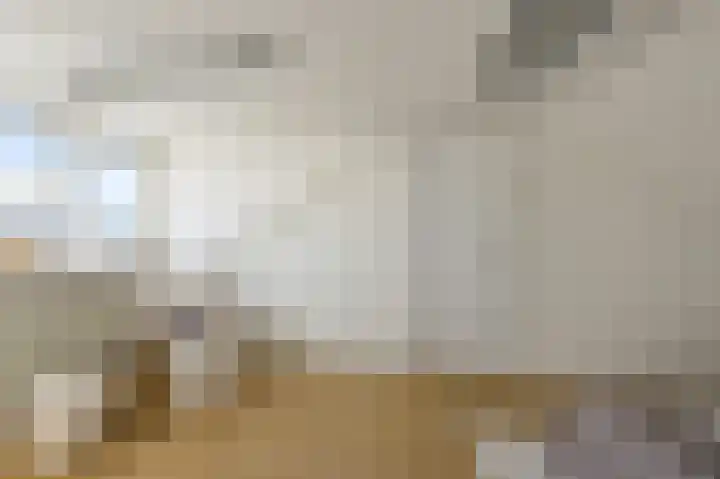 Kooglaan 101 Uitgeest thumbnail 32