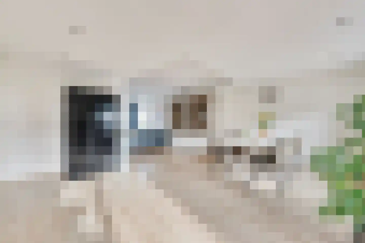 Kooglaan 113 Uitgeest thumbnail 10