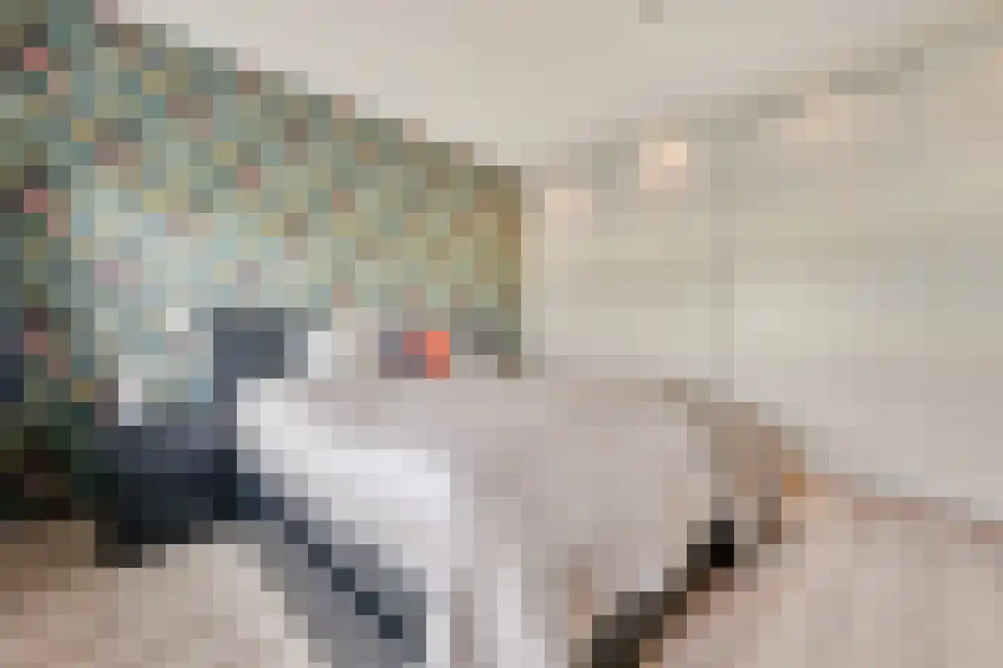 Kooglaan 113 Uitgeest thumbnail 18