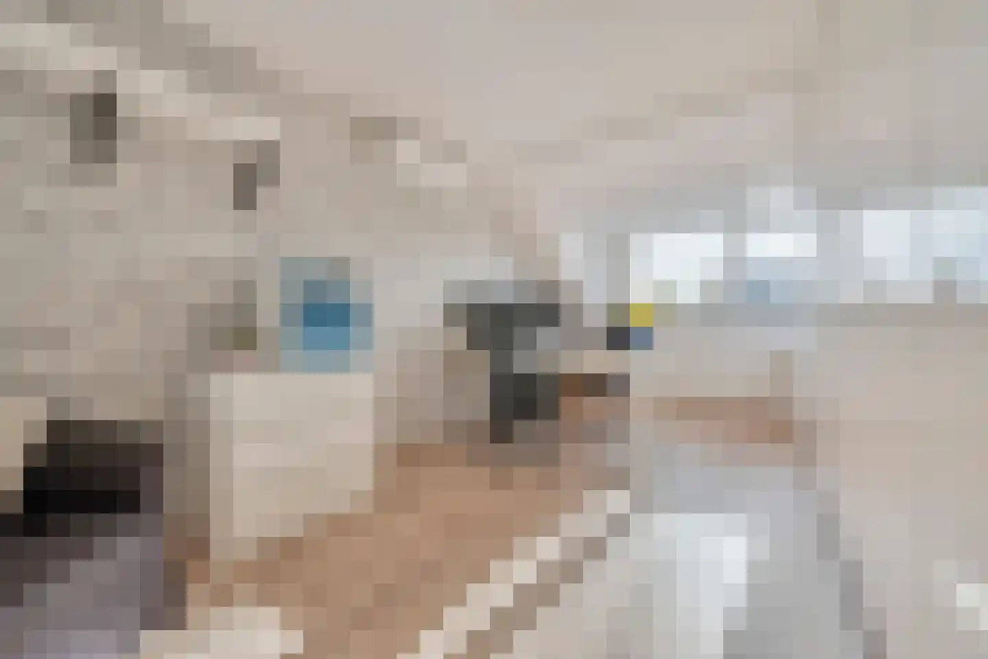 Kooglaan 113 Uitgeest thumbnail 20