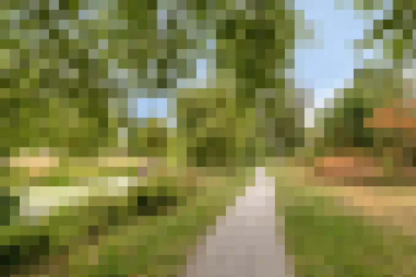 Kooglaan 119 Uitgeest thumbnail 45