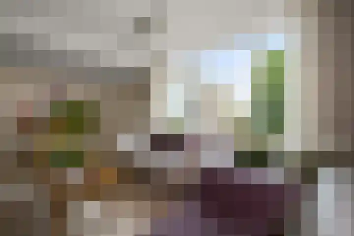 Kooglaan 95 Uitgeest thumbnail 10