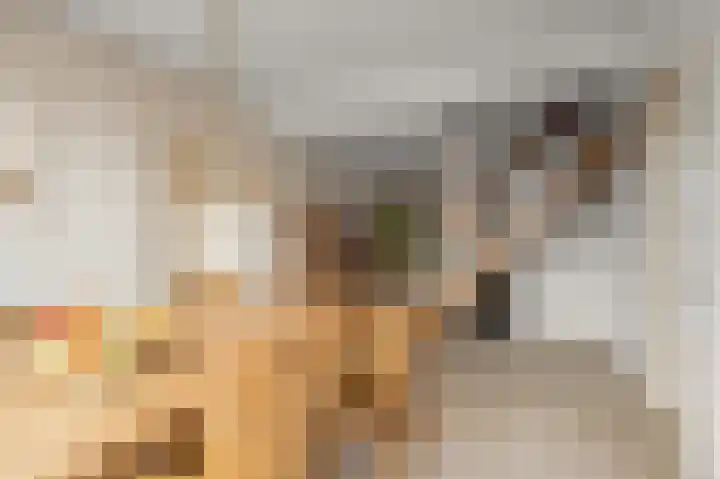 Kooglaan 95 Uitgeest thumbnail 14