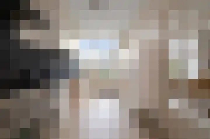Kooglaan 95 Uitgeest thumbnail 19
