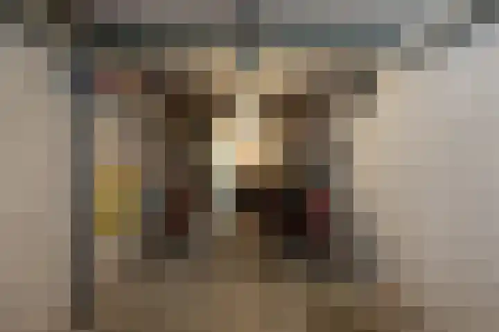 Kooglaan 95 Uitgeest thumbnail 22