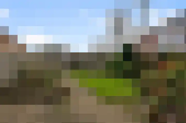 Kooglaan 95 Uitgeest thumbnail 44