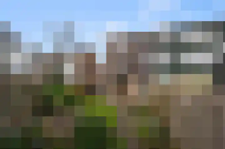 Kooglaan 95 Uitgeest thumbnail 46