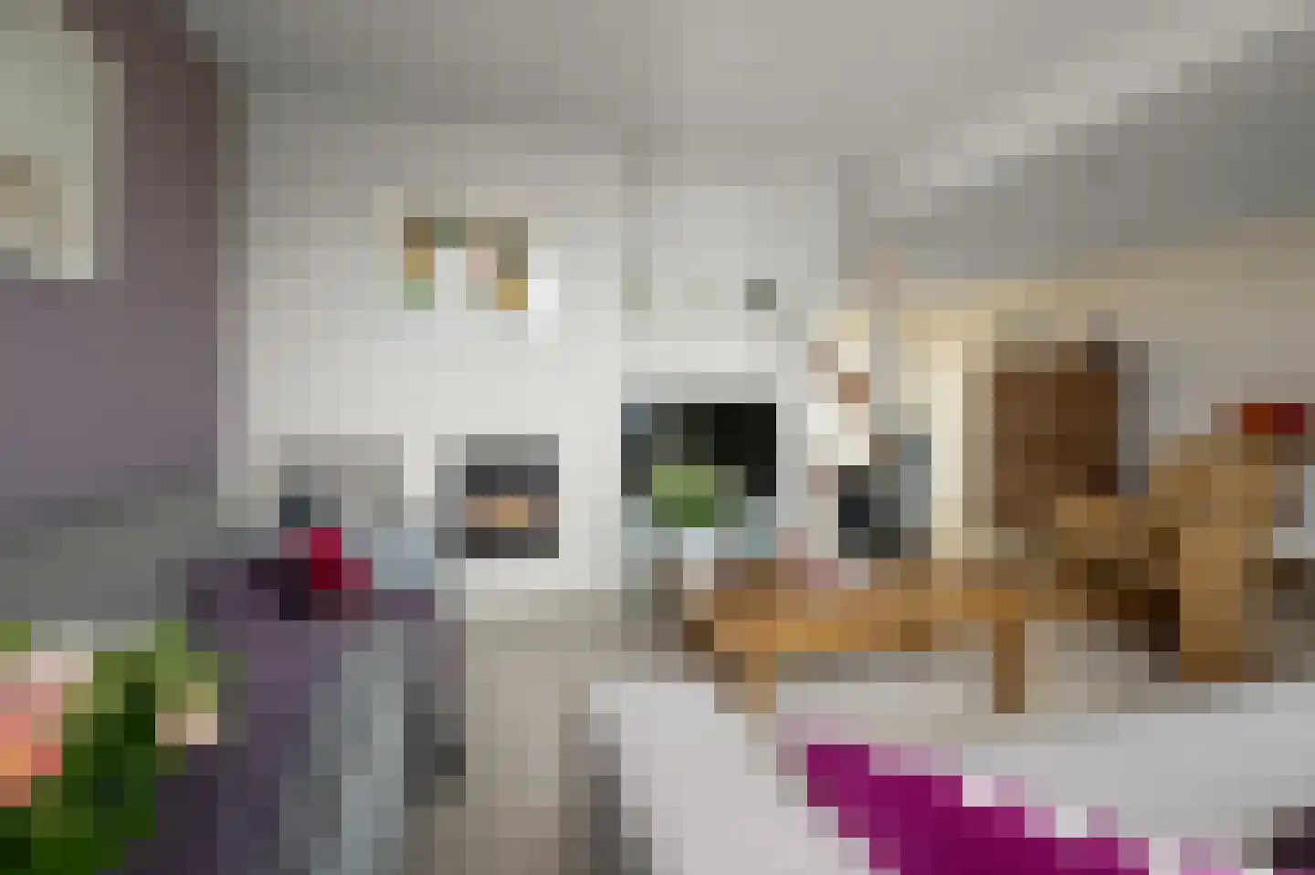 Kooglaan 95 Uitgeest thumbnail 8