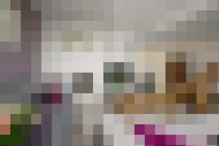 Kooglaan 95 Uitgeest thumbnail 8