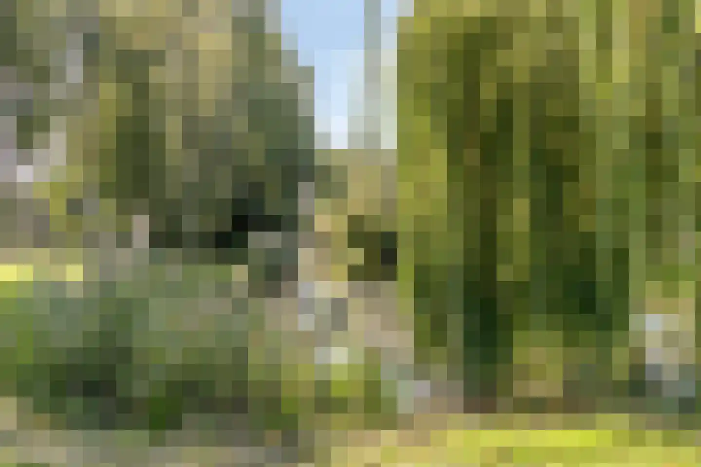 Koogsingel 17 Purmerend thumbnail 39