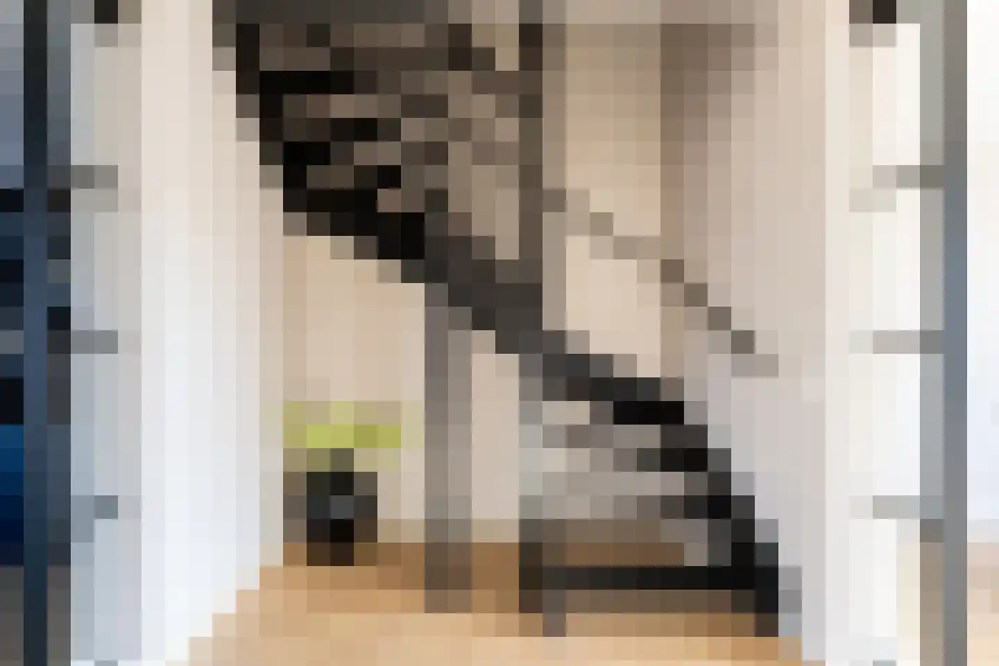 Koogstraat 12 Marknesse thumbnail 24