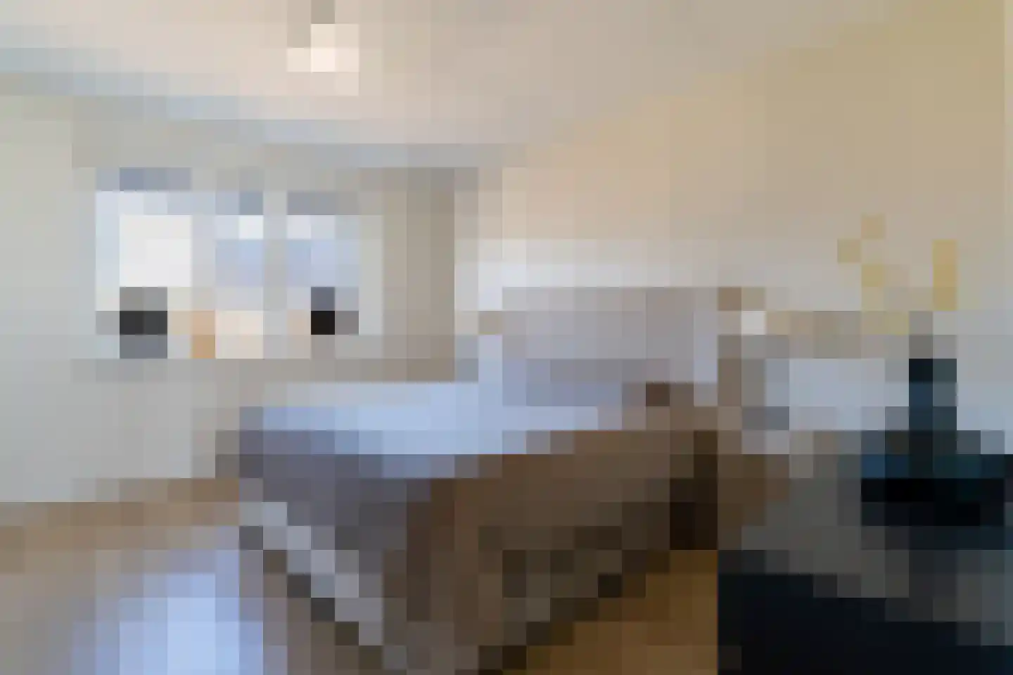 Koogstraat 12 Marknesse thumbnail 25