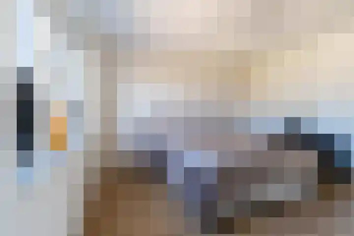 Koogstraat 12 Marknesse thumbnail 26