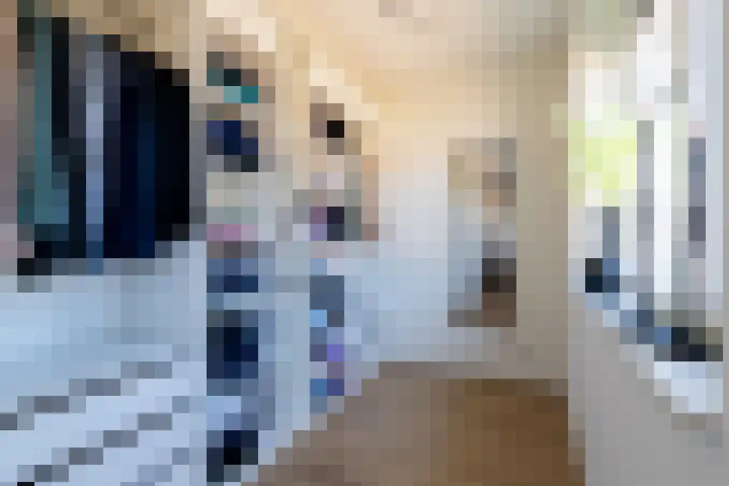 Koogstraat 12 Marknesse thumbnail 27