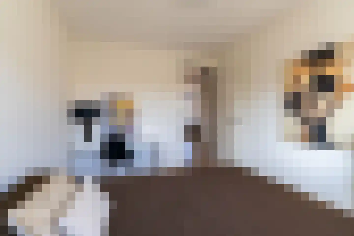 Koogstraat 12 Marknesse thumbnail 36