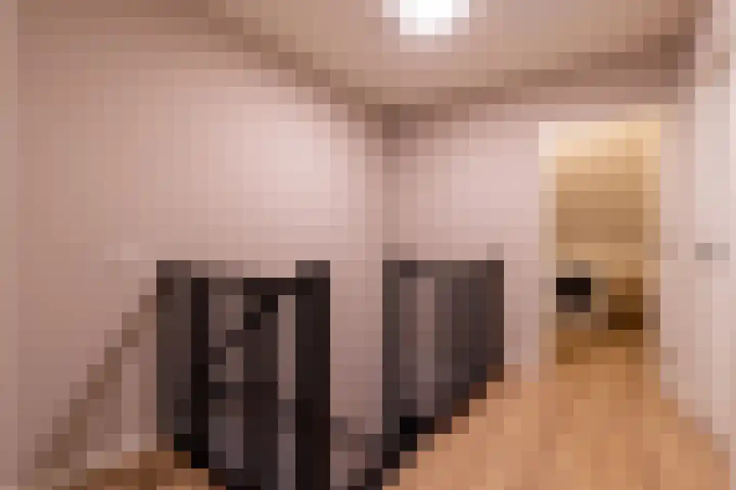 Koogstraat 12 Marknesse thumbnail 39