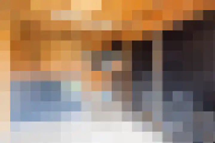 Koogstraat 12 Marknesse thumbnail 57