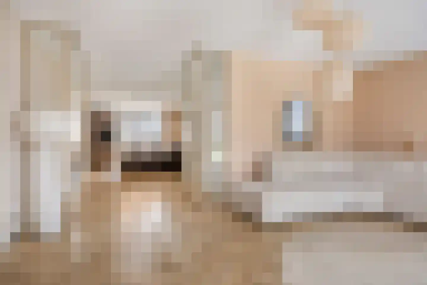 Koogstraat 24 Marknesse thumbnail 10