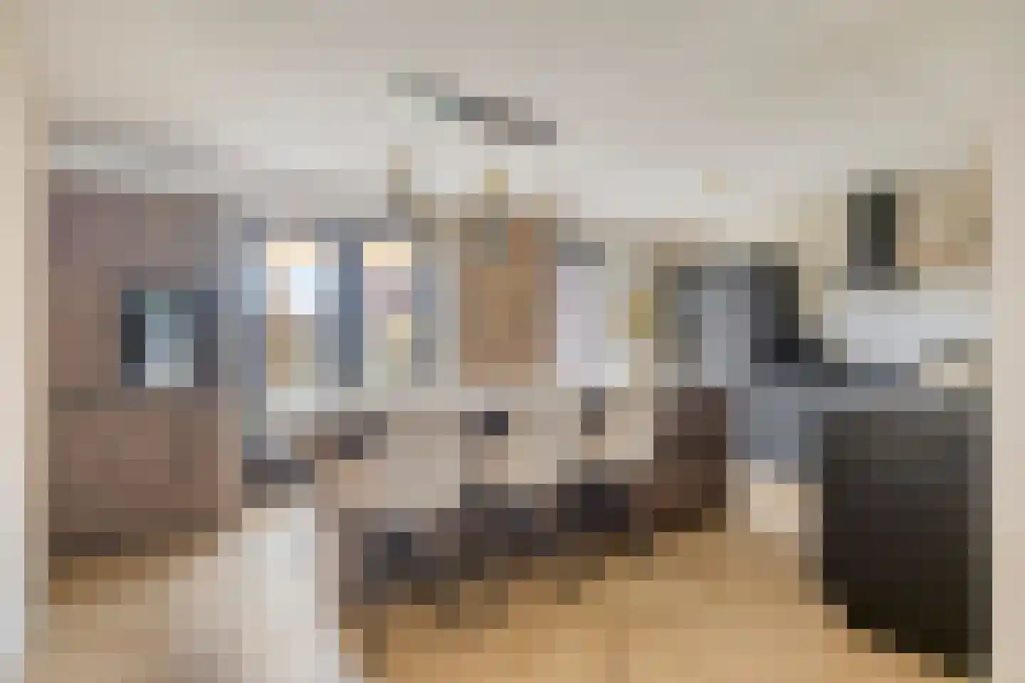 Koogstraat 24 Marknesse thumbnail 12
