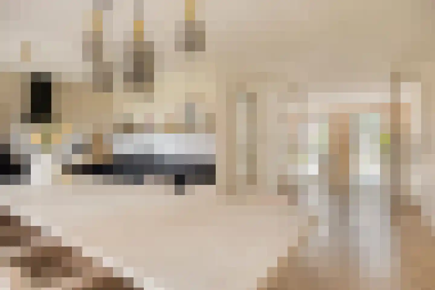 Koogstraat 24 Marknesse thumbnail 13