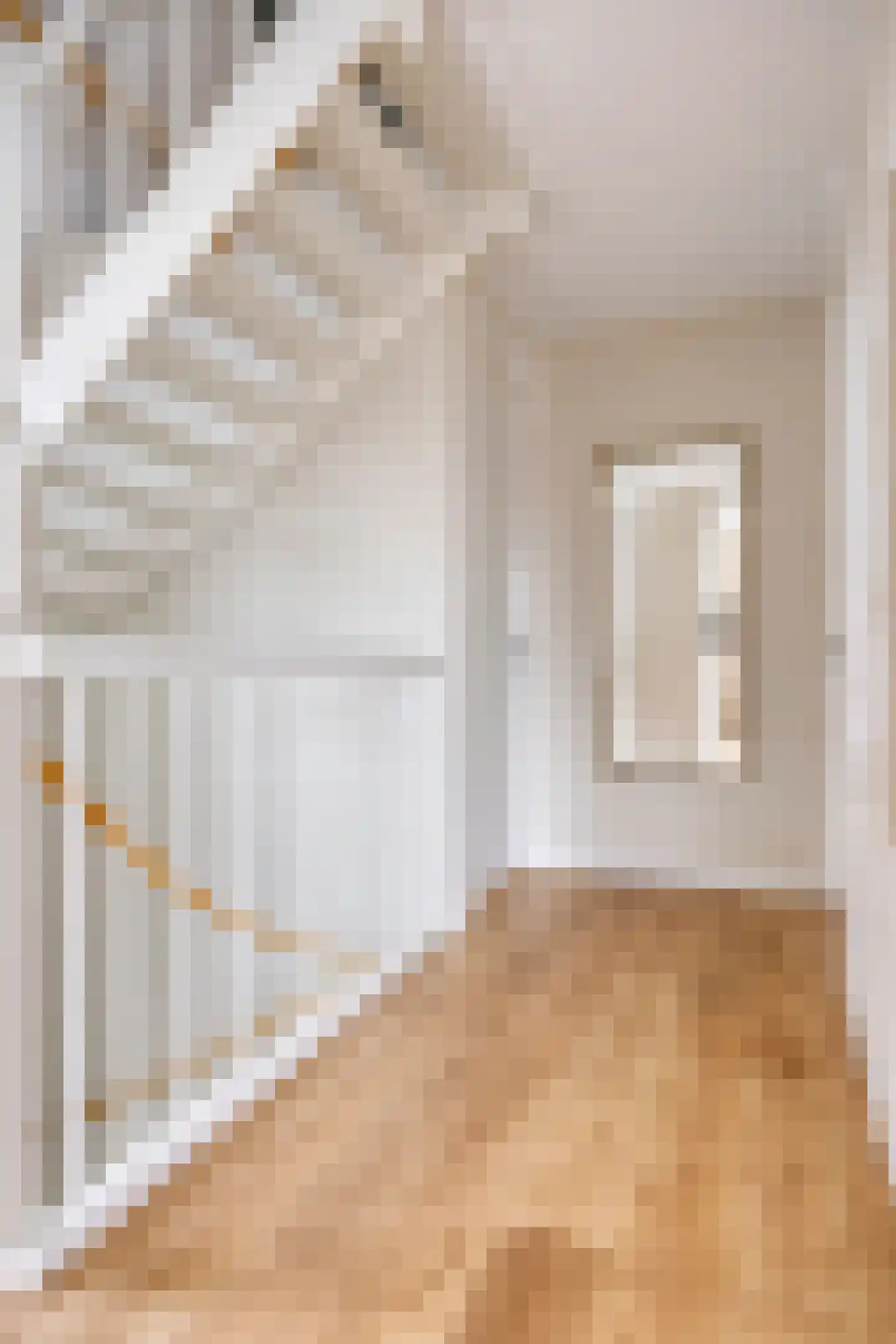 Koogstraat 24 Marknesse thumbnail 23