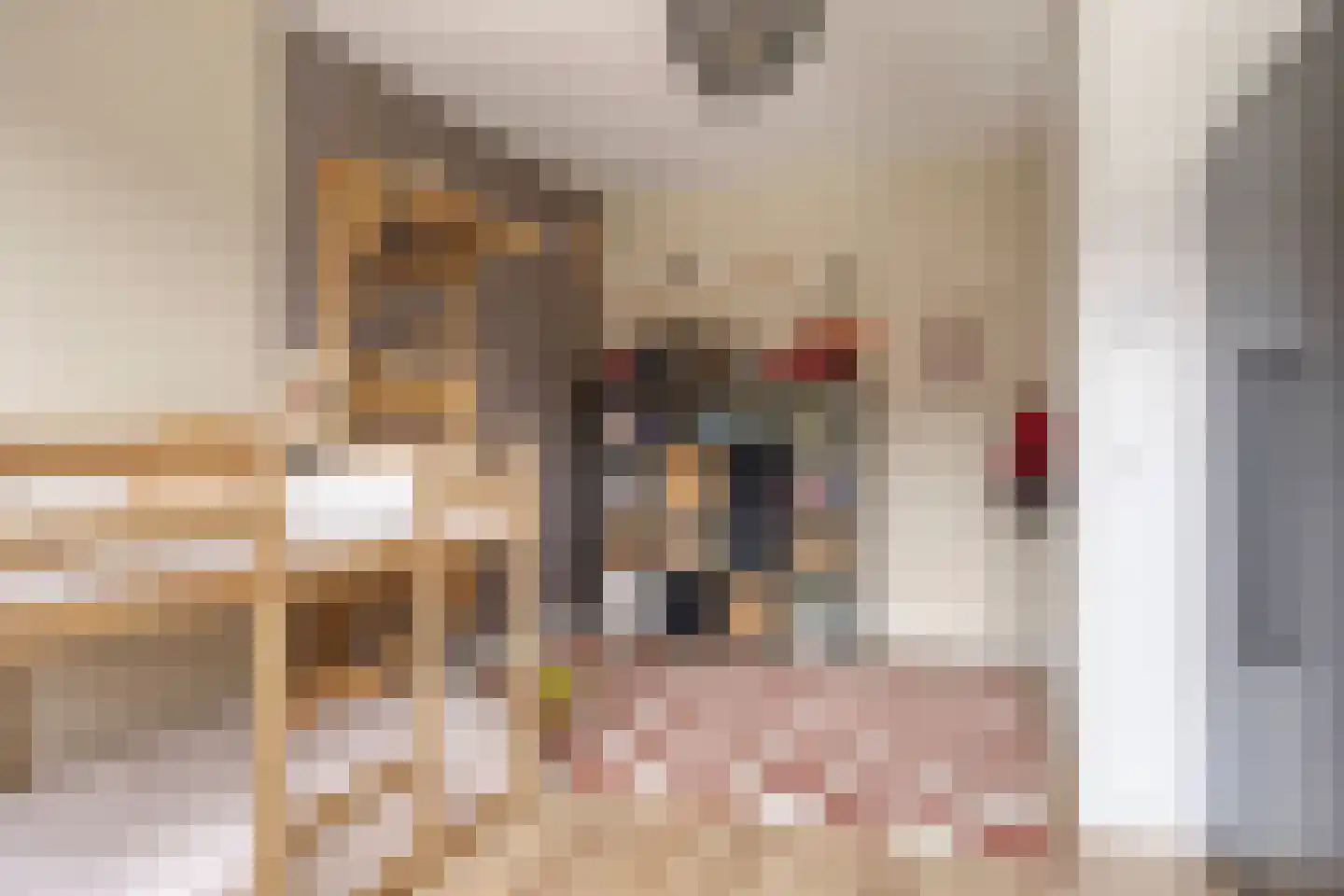 Koogstraat 24 Marknesse thumbnail 31
