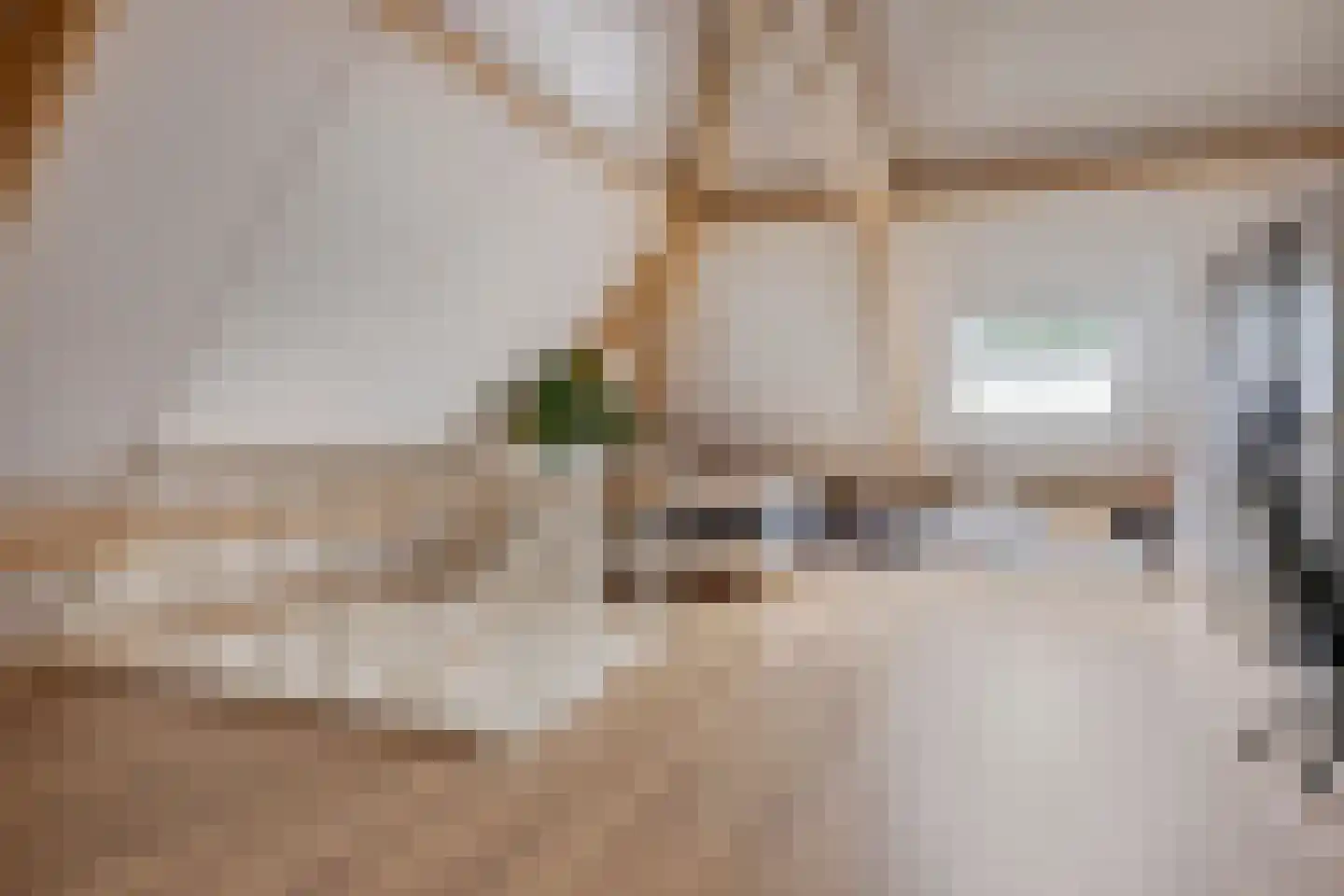 Koogstraat 24 Marknesse thumbnail 35