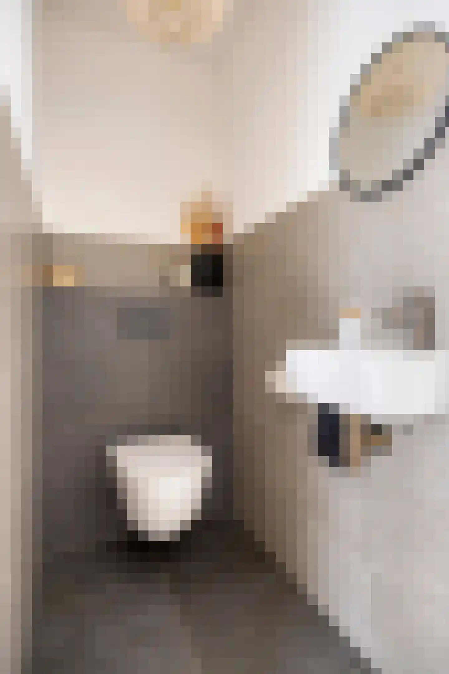 Koogstraat 24 Marknesse thumbnail 6
