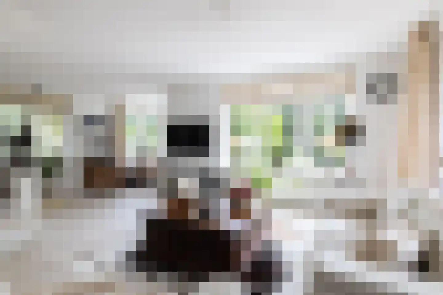 Kooibos 5 Almere thumbnail 24