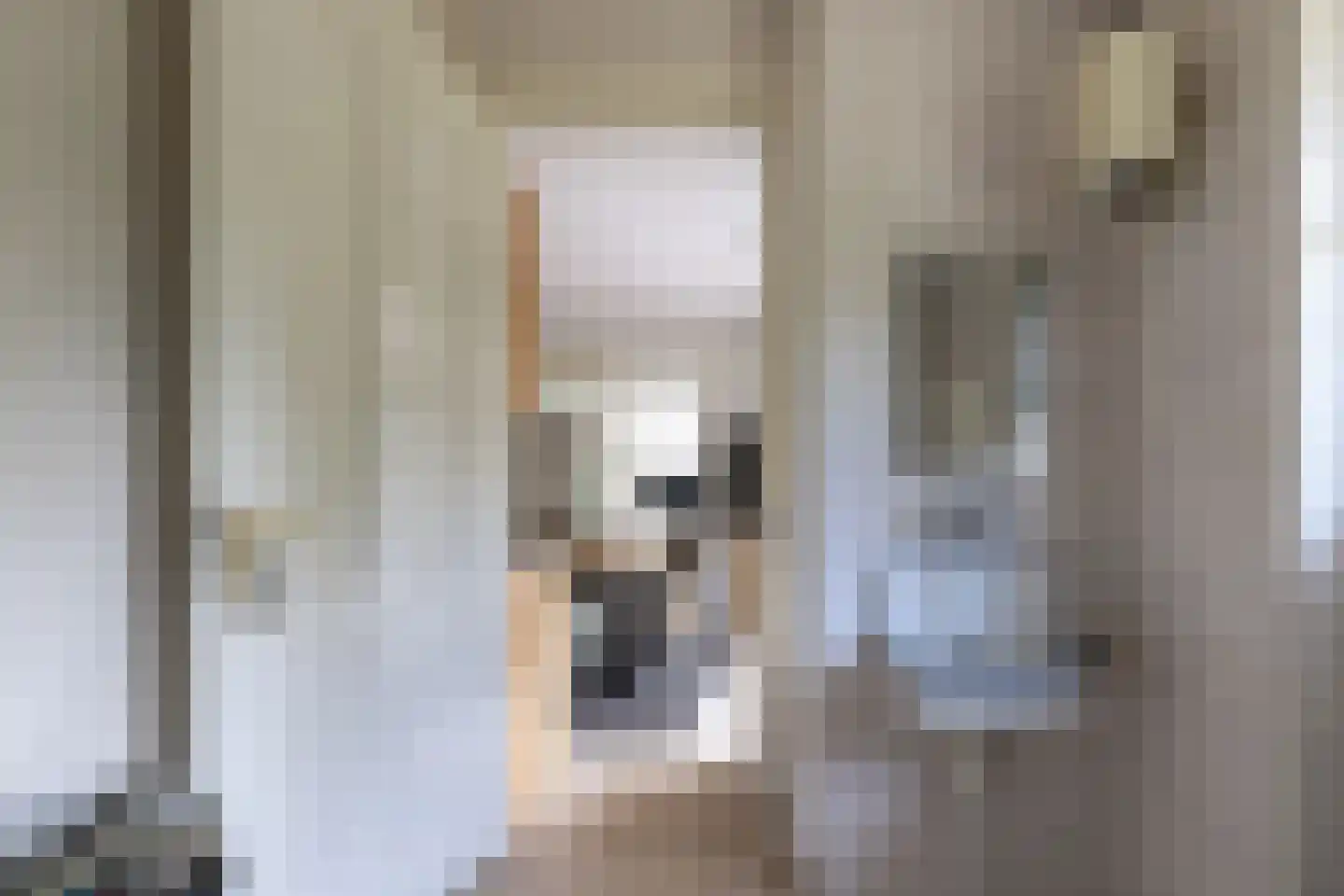 Kooibos 5 Almere thumbnail 36