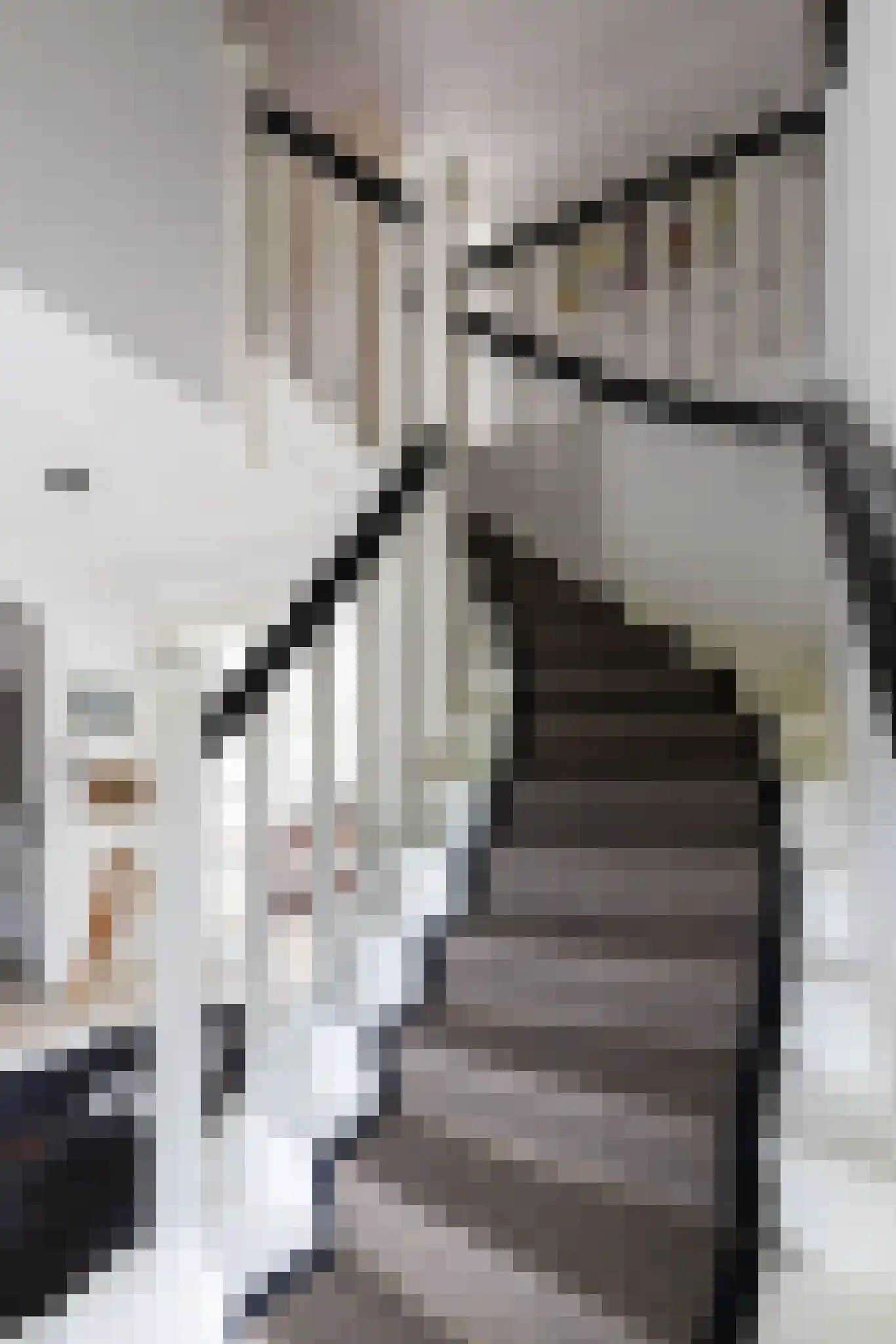 Kooibos 5 Almere thumbnail 38