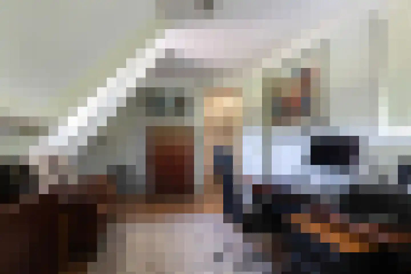 Kooibos 5 Almere thumbnail 43
