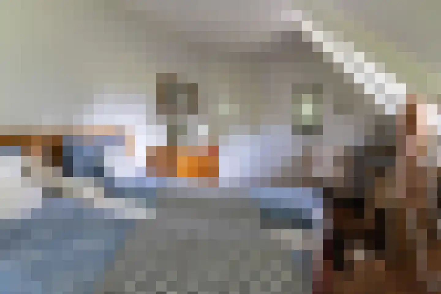 Kooibos 5 Almere thumbnail 52
