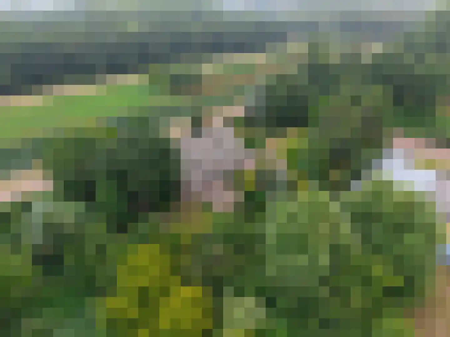 Kooibos 5 Almere thumbnail 56