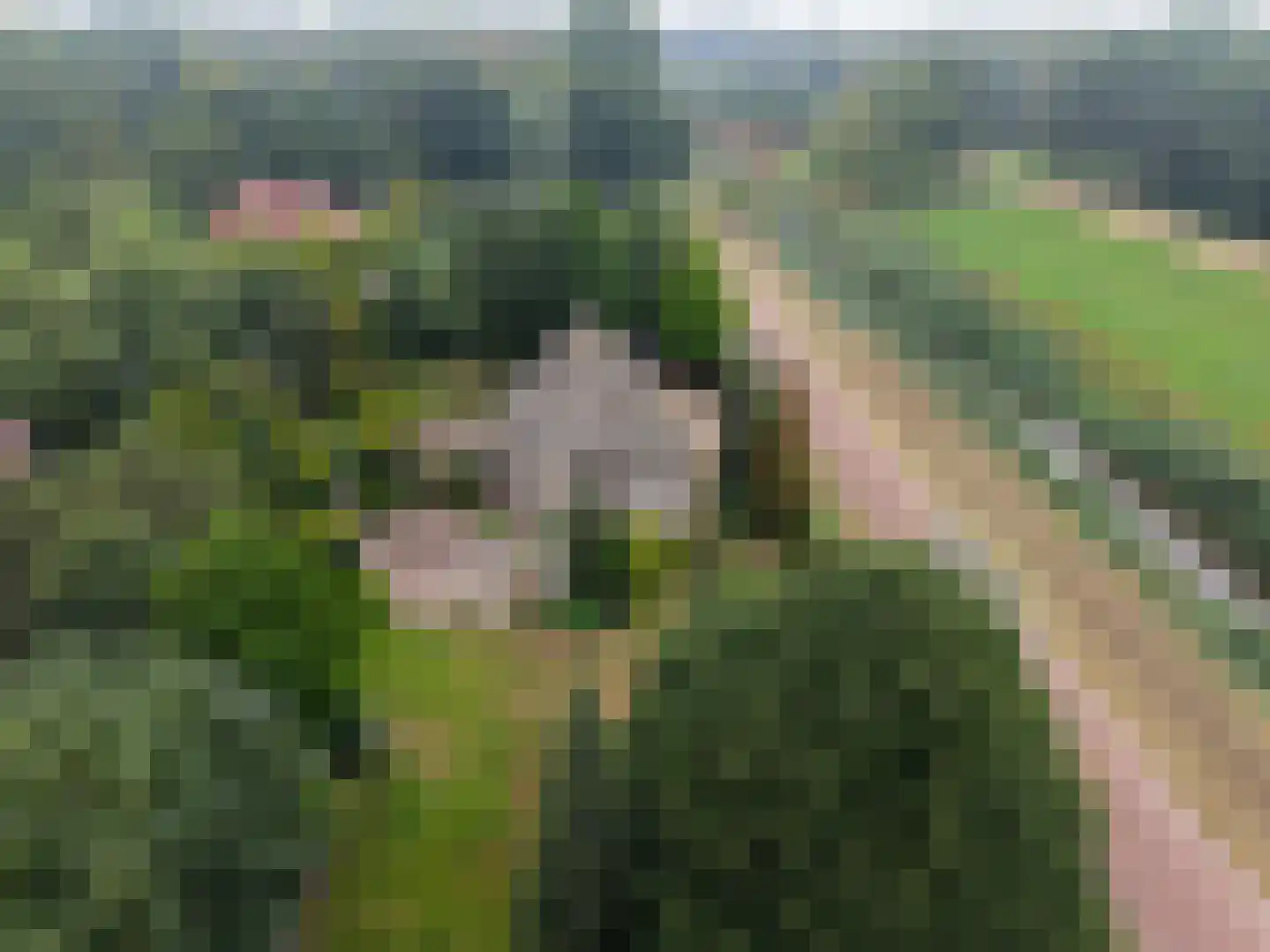 Kooibos 5 Almere thumbnail 61
