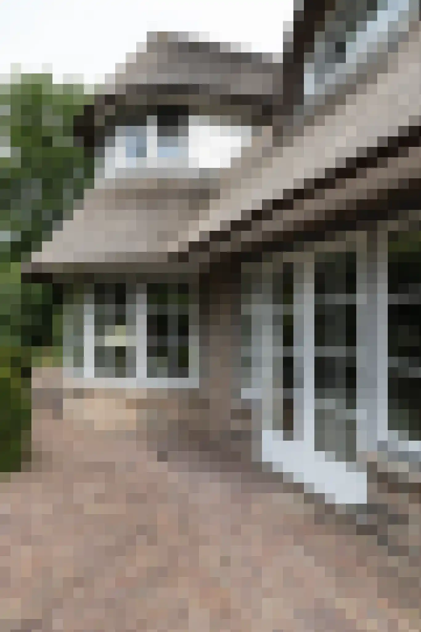 Kooibos 5 Almere thumbnail 65