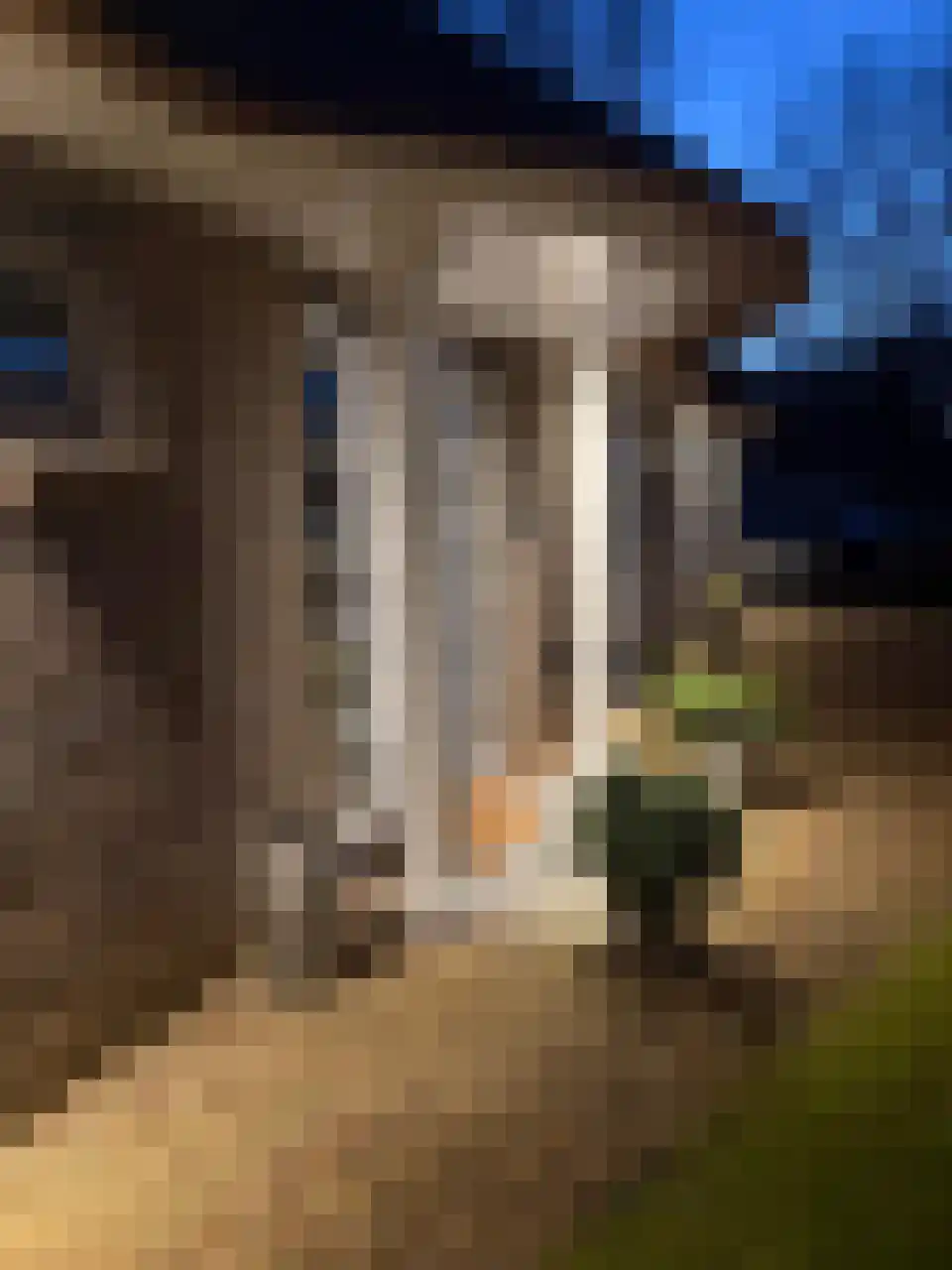 Kooibos 5 Almere thumbnail 7