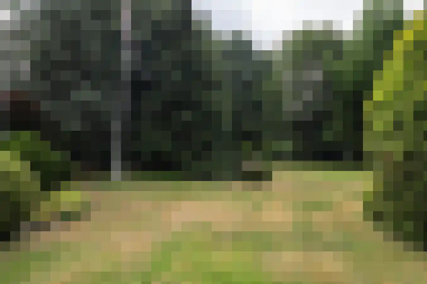 Kooibos 5 Almere thumbnail 72