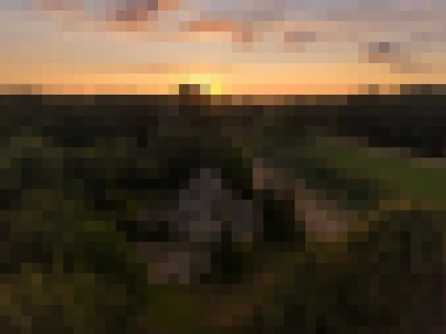 Kooibos 5 Almere thumbnail 73