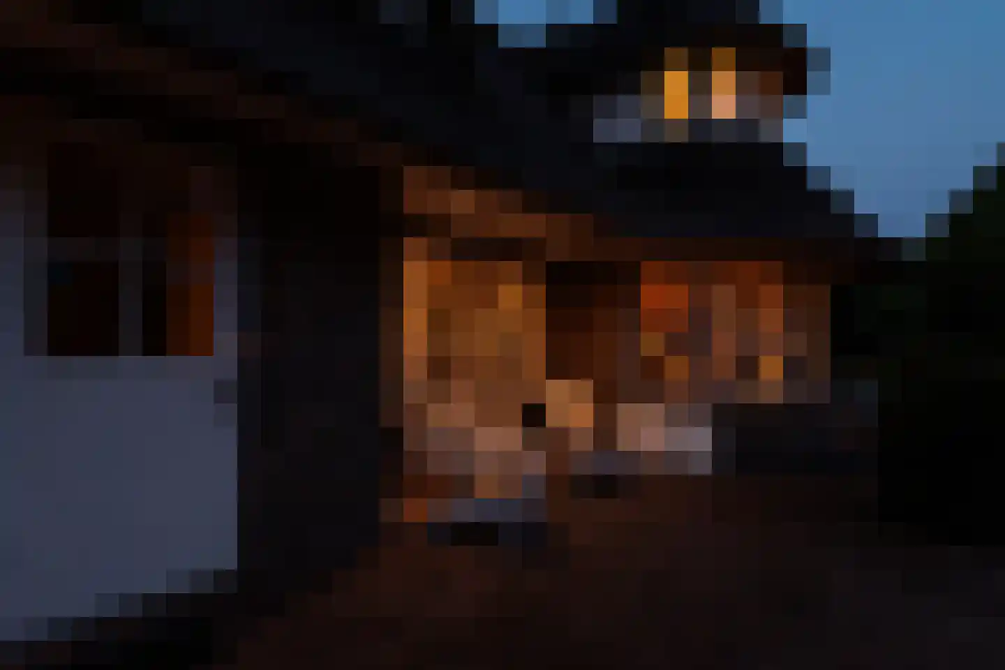 Kooibos 5 Almere thumbnail 75
