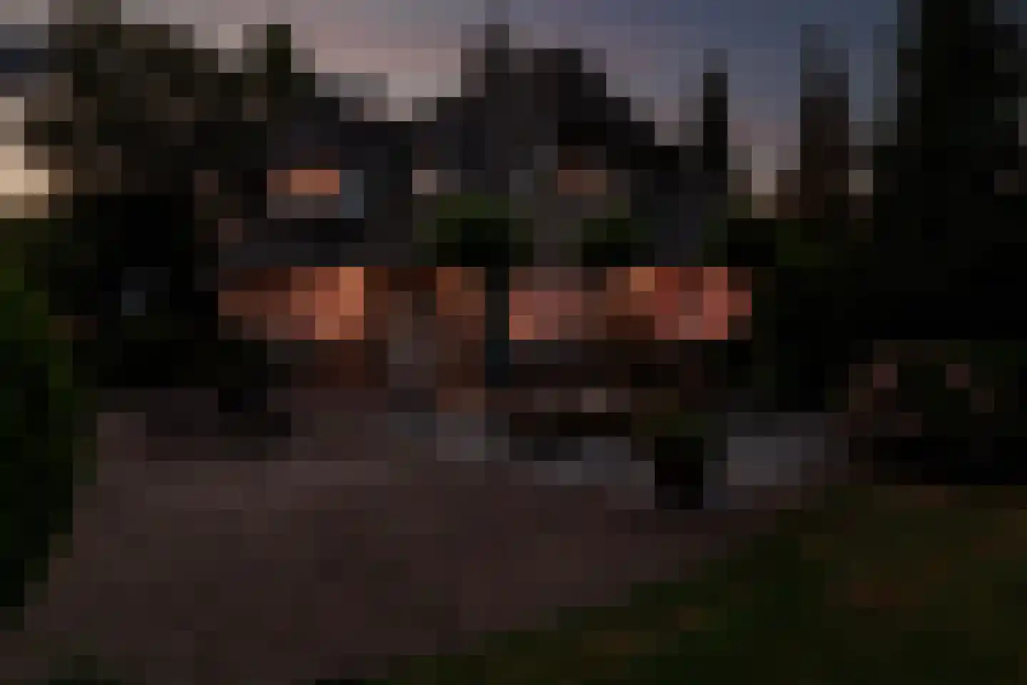 Kooibos 5 Almere thumbnail 77