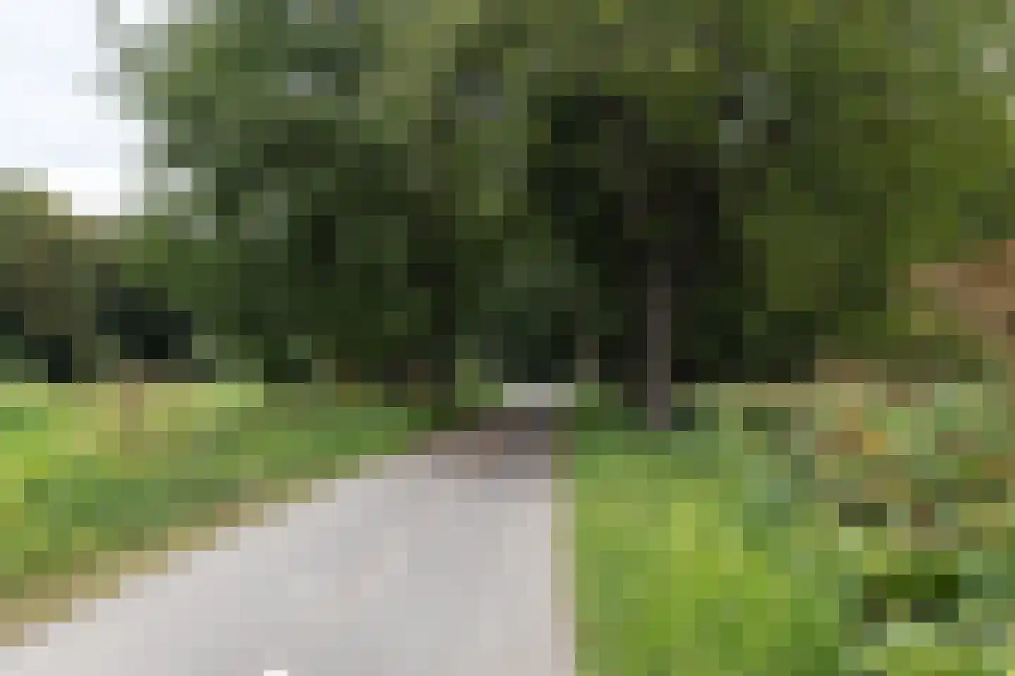 Kooibos 5 Almere thumbnail 78