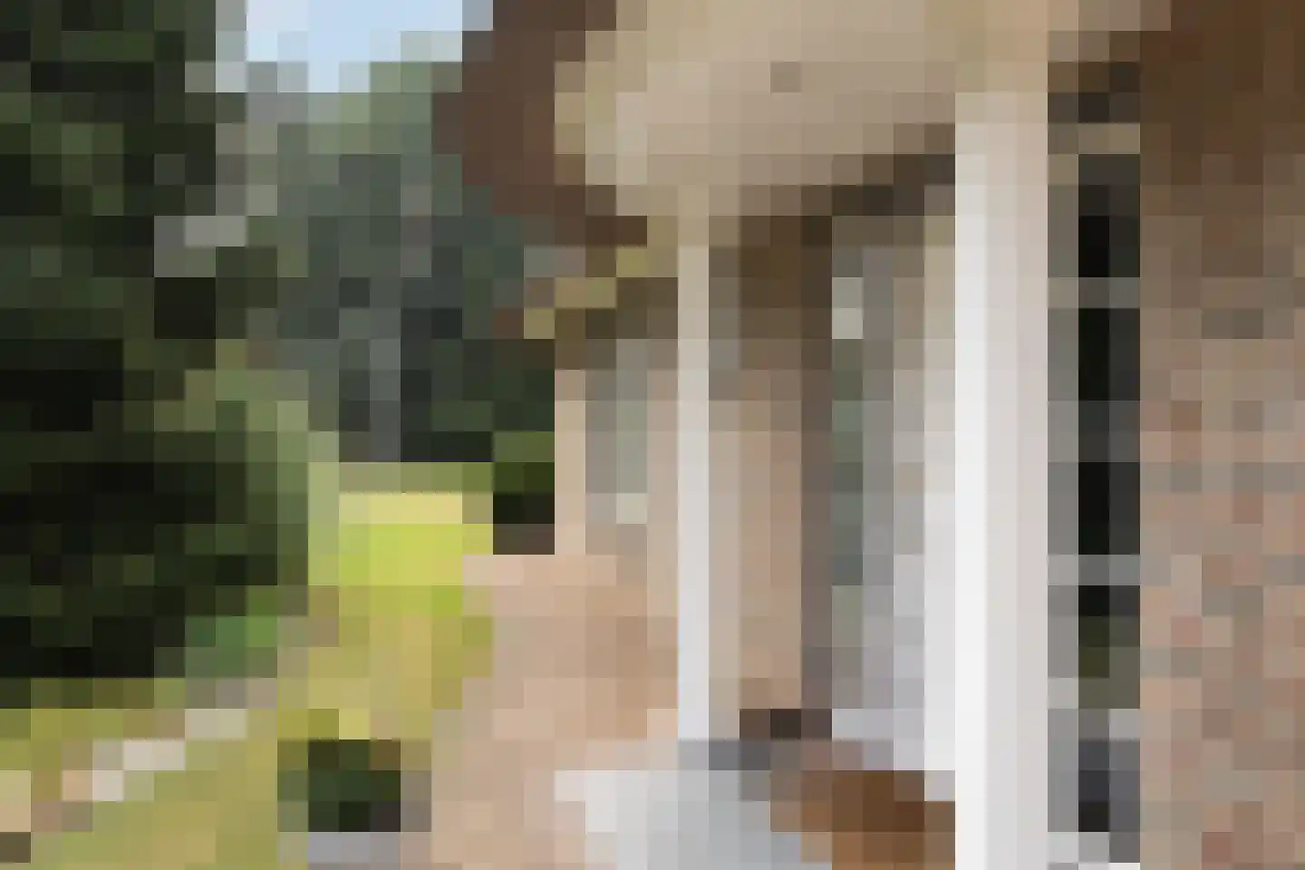 Kooibos 5 Almere thumbnail 8